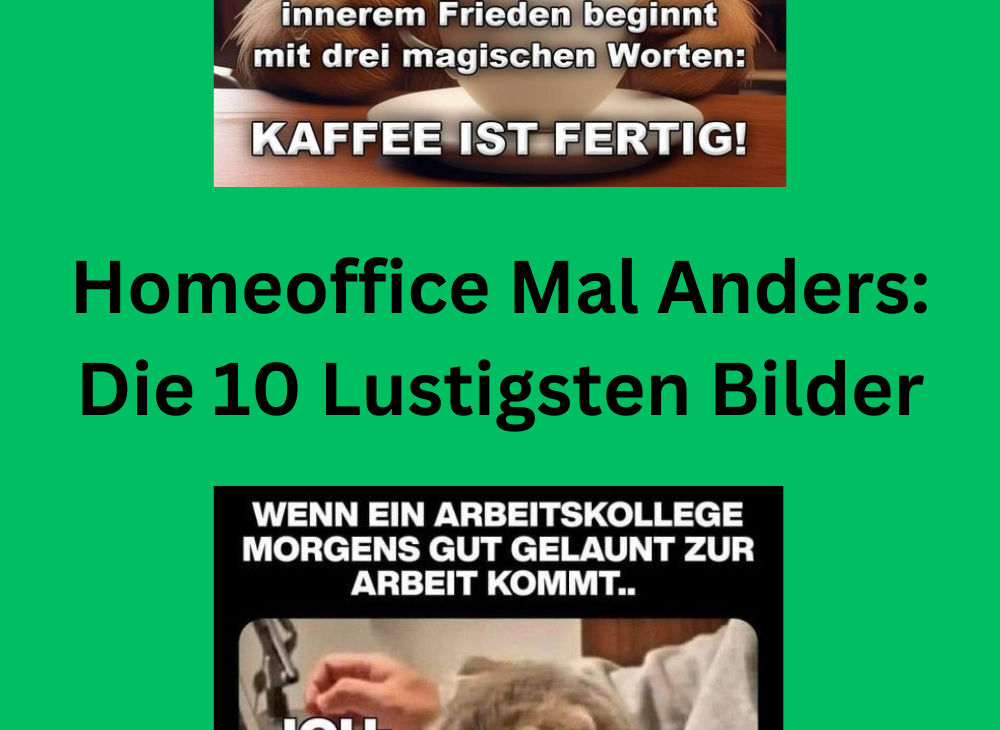 Homeoffice Mal Anders Die 10 Lustigsten Bilder