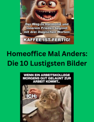 Homeoffice Mal Anders Die 10 Lustigsten Bilder